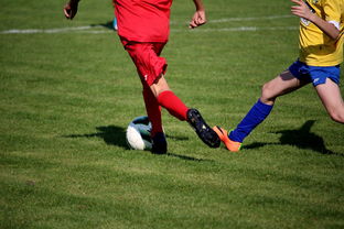 开云体育-NBA球员训练计划优化设计，nba运动员训练计划