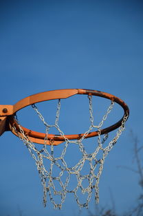 开云体育官网-NBA球员体能训练计划设计与效果评估，nba球员的体能训练